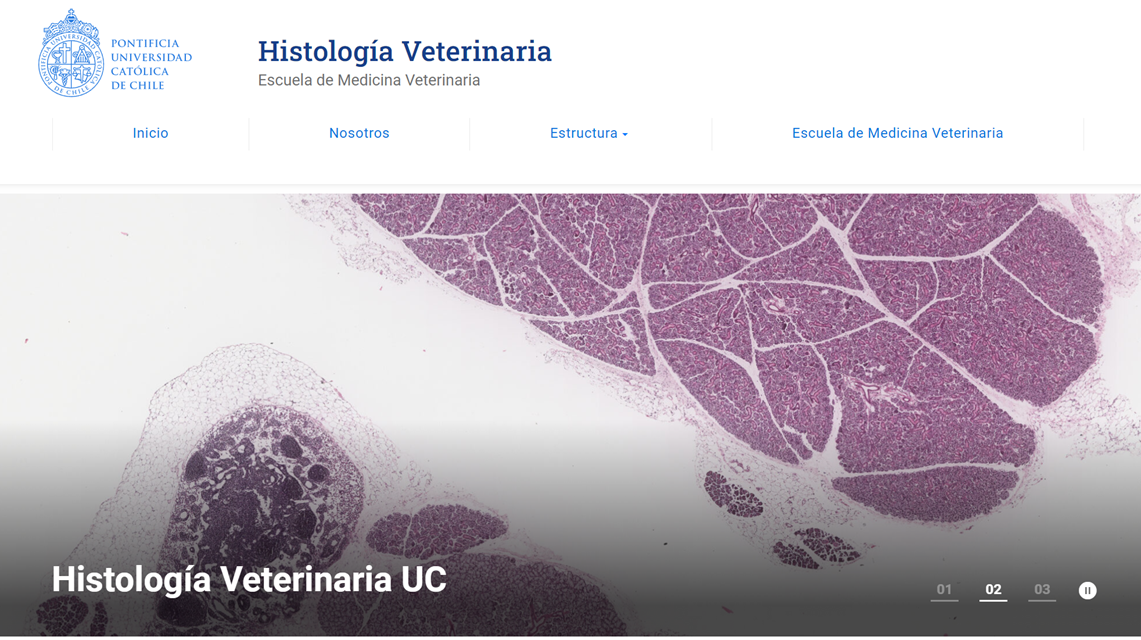 imagen de presentación